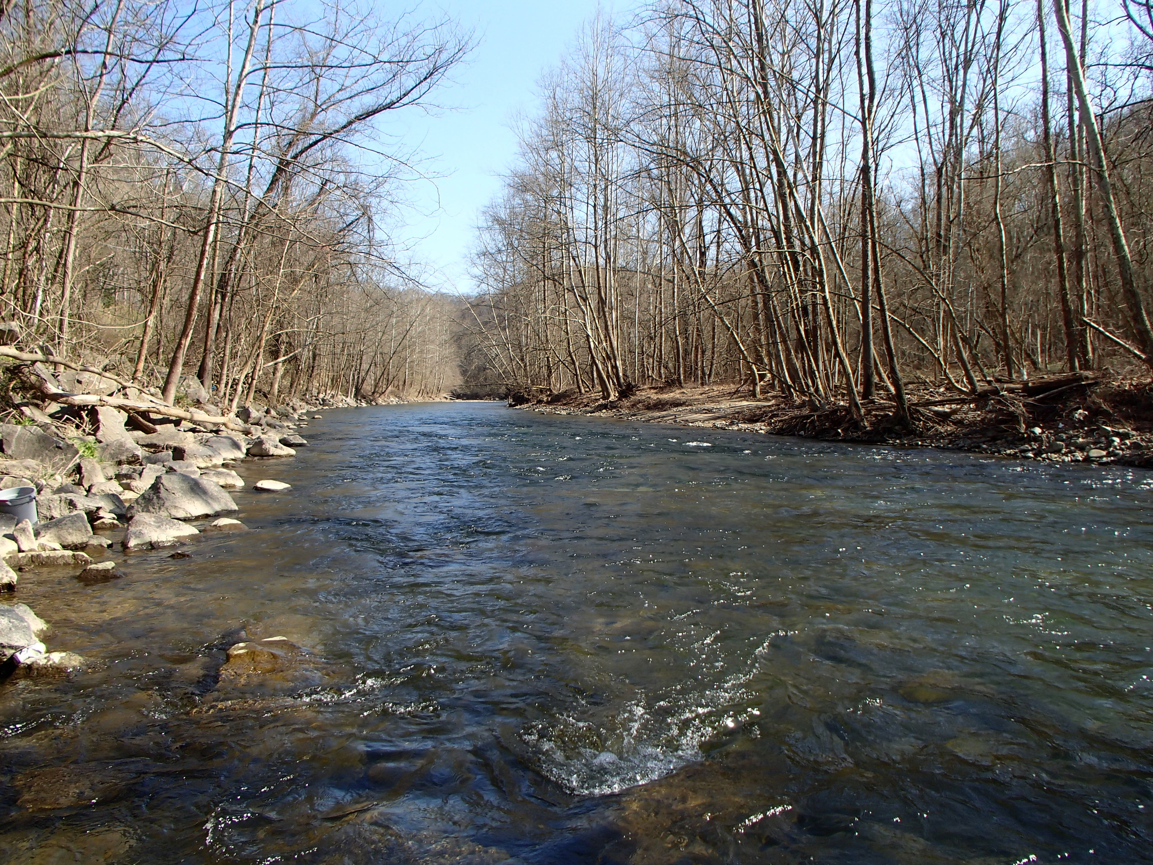 Field photo showing stream conditions at site PATL-504-X-2016_midpoint looking downstream